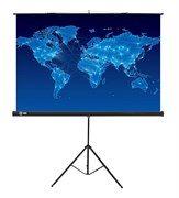 Экран Cactus Triscreen CS-PST-150x150 1:1 напольный черный (150x150 см.) Экран Cactus Triscreen CS-PST-150x150 1:1 напольный черный (150x150 см.)