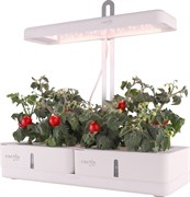 Гидропонная установка Cactus Garden 3.0л 20Вт белый (CS-LEDPOT-08) Гидропонная установка Cactus Garden 3.0л 20Вт белый (CS-LEDPOT-08)