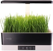 Гидропонная установка Cactus Garden 3.0л 24Вт черный (CS-LEDPOT-11) Гидропонная установка Cactus Garden 3.0л 24Вт черный (CS-LEDPOT-11)