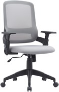Кресло Cactus CS-MC313-BKGY черный/серый сетка/ткань низк.спин. крестов. пластик пластик черный Кресло Cactus CS-MC313-BKGY черный/серый сетка/ткань низк.спин. крестов. пластик пластик черный
