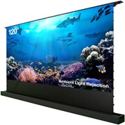 Экран Cactus 148x263см FloorRising CS-PSFRALR-263X148 16:9 напольный рулонный черный (моторизованный привод) Экран Cactus 148x263см FloorRising CS-PSFRALR-263X148 16:9 напольный рулонный черный (моторизованный привод)