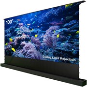 Экран Cactus 125x221см FloorRising CS-PSFRCLR-221X125 16:9 напольный рулонный черный (моторизованный привод) Экран Cactus 125x221см FloorRising CS-PSFRCLR-221X125 16:9 напольный рулонный черный (моторизованный привод)