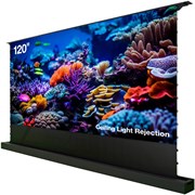 Экран Cactus 148x263см FloorRising CS-PSFRCLR-263X148 16:9 напольный рулонный черный (моторизованный привод) Экран Cactus 148x263см FloorRising CS-PSFRCLR-263X148 16:9 напольный рулонный черный (моторизованный привод)