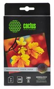 Фотобумага полуглянцевая Cactus Prof CS-SGA628020 10x15, 280г/м2, 20л.