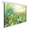 Экран Cactus WallExpert CS-PSWE-200x200-WT 112" 1:1 настенно-потолочный (200x200 см.) - фото 11849