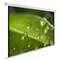 Экран Cactus WallExpert CS-PSWE-200x150-WT 99&quot; 4:3 настенно-потолочный (200x150 см.)