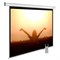 Экран Cactus MotoExpert CS-PSME-220X165-WT 109&quot; 4:3 настенно-потолочный белый, моторизованный привод (220x165 см.)