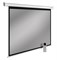 Экран Cactus SIlverMotoExpert CS-PSSME-200x150-WT 99" 4:3 настенно-потолочный светло-серый, моторизованный привод (200x150 см.) - фото 12930