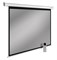 Экран Cactus SIlverMotoExpert CS-PSSME-200x150-DG 99" 4:3 настенно-потолочный темно-серый, моторизованный привод (200x150 см.) - фото 13381