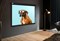 Экран Cactus Wallscreen CS-PSW-183X244-BK 4:3 настенно-потолочный белый, корпус черный (183x244 см.) - фото 17576