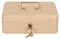 Ящик для денег без номинала Cactus CS-CB-003WT 90x250x180 бежевый сталь 1.367кг