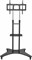 Стойка для телевизора Cactus CS-ST31 черный 37"-75" макс.81.6кг напольный мобильный - фото 20680