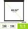 Экран Cactus Triscreen CS-PST-150x150 1:1 напольный черный (150x150 см.) - фото 21647