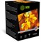 Фотобумага Cactus Prof CS-HGA6260500 A6, 260г/м2, 500л., белый глянцевое для струйной печати - фото 22776