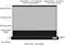Экран Cactus 148x263см FloorRising CS-PSFRCLR-263X148 16:9 напольный рулонный черный (моторизованный привод) - фото 24430